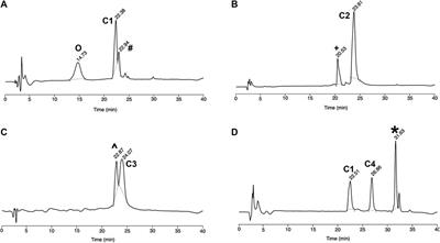 Modular Synthesis of Trifunctional Peptide-oligonucleotide Conjugates via Native Chemical Ligation